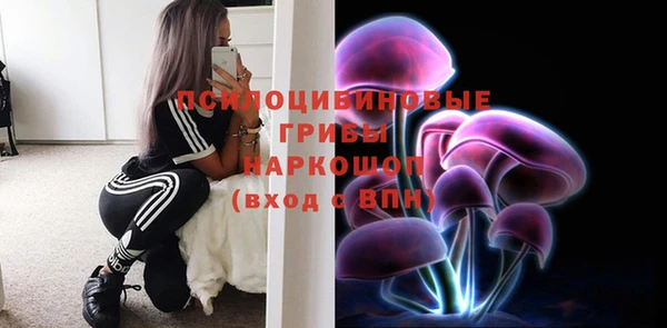 ГАЛЛЮЦИНОГЕННЫЕ ГРИБЫ Коряжма